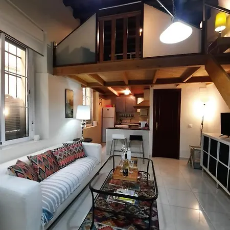 公寓 Precioso Duplex En El Corazon De 加的斯