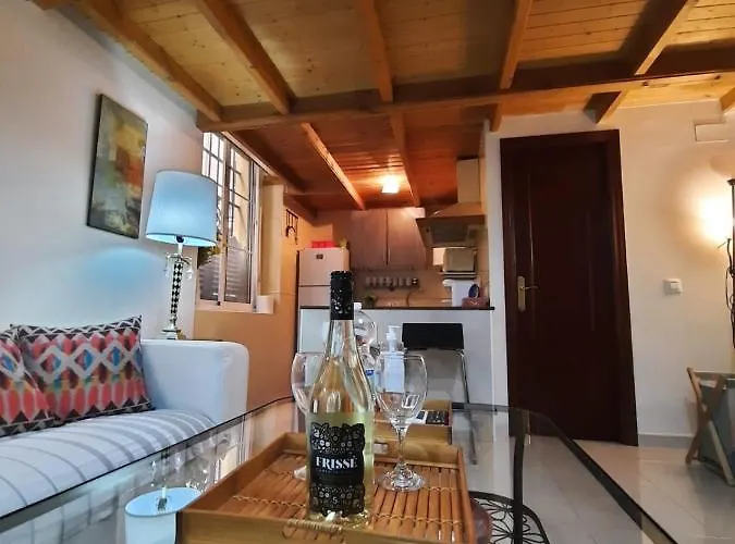 Precioso Duplex En El Corazon De Apartment *